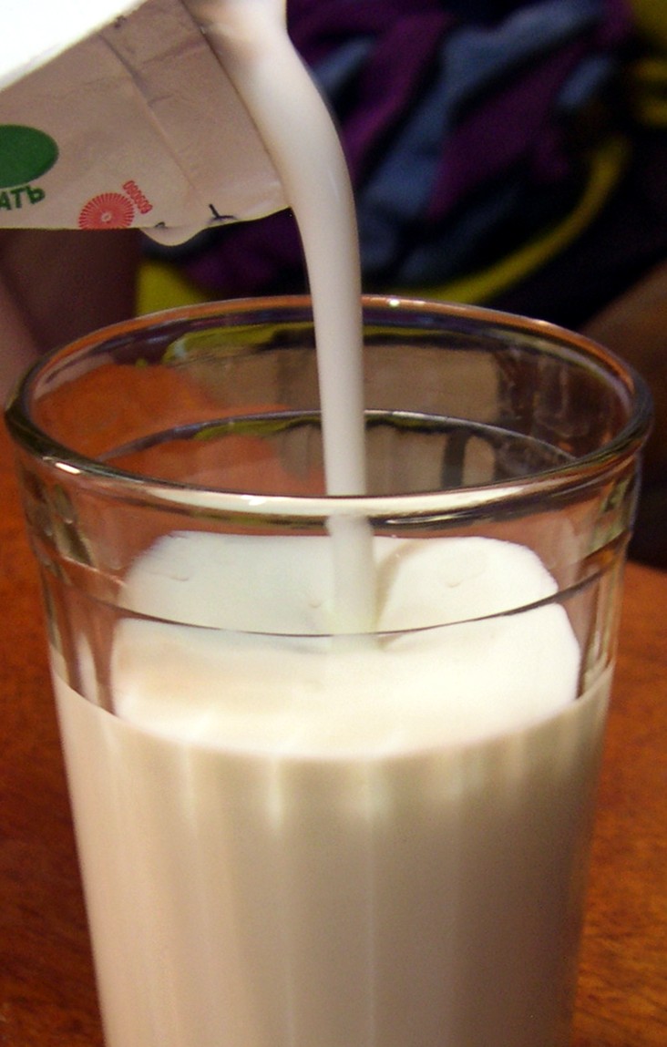 Low-Fat Plain Kefir