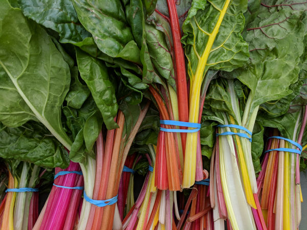 Swiss Chard